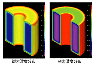 炭素濃度分布と窒素濃度分布